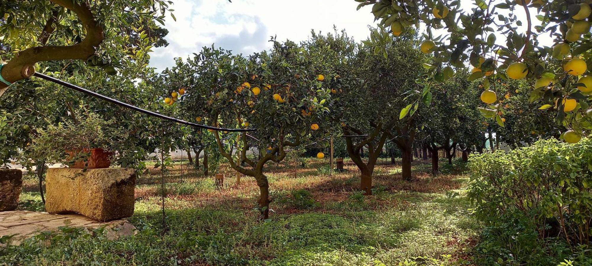 Baglio Spanò - Antiche Dimore di Sicilia Petrosino Exterior foto